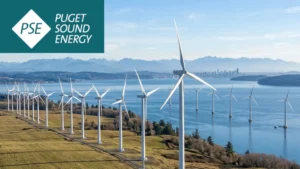 Puget Sound Energy: The Real Deal on Rates, Outages, and Keeping Your Cool in WA